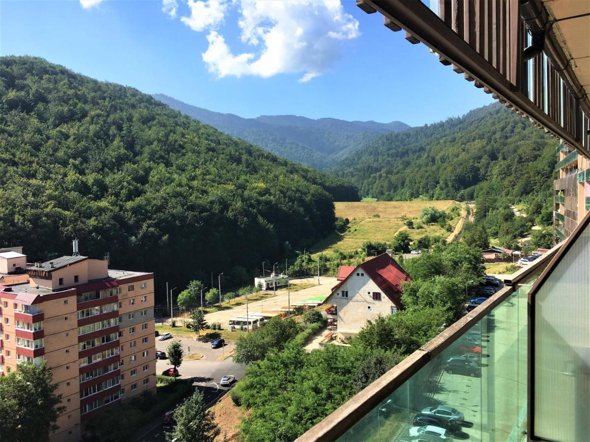 Nature Escape Apartment 브라쇼브 외부 사진