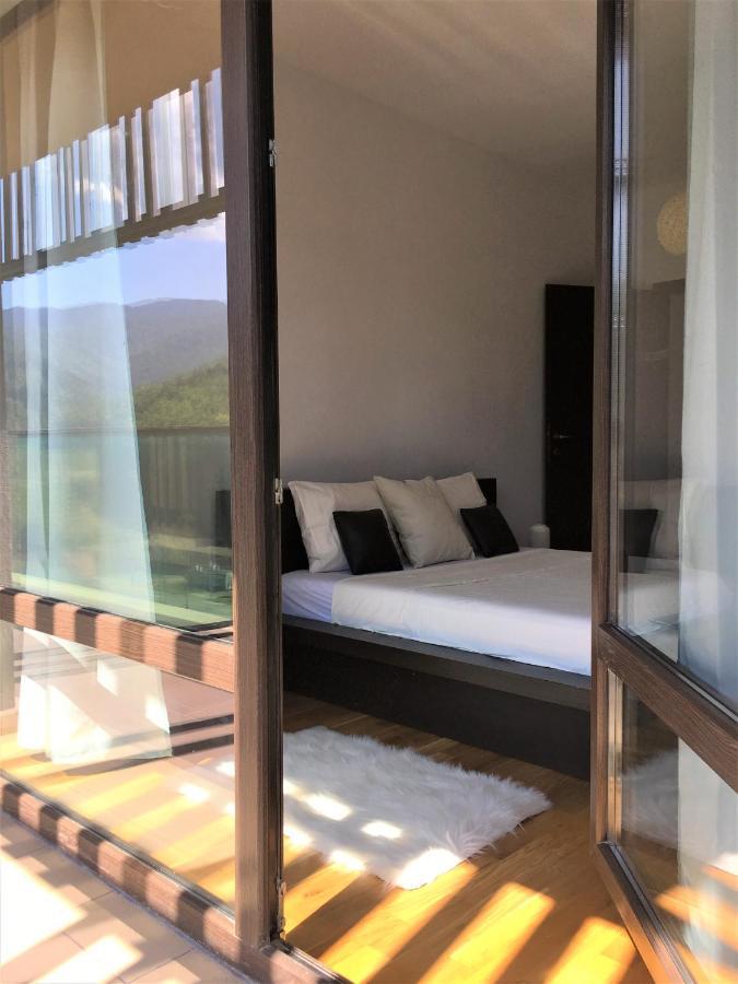 Nature Escape Apartment 브라쇼브 외부 사진