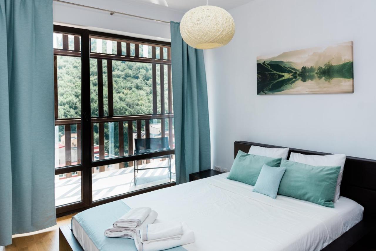 Nature Escape Apartment 브라쇼브 외부 사진