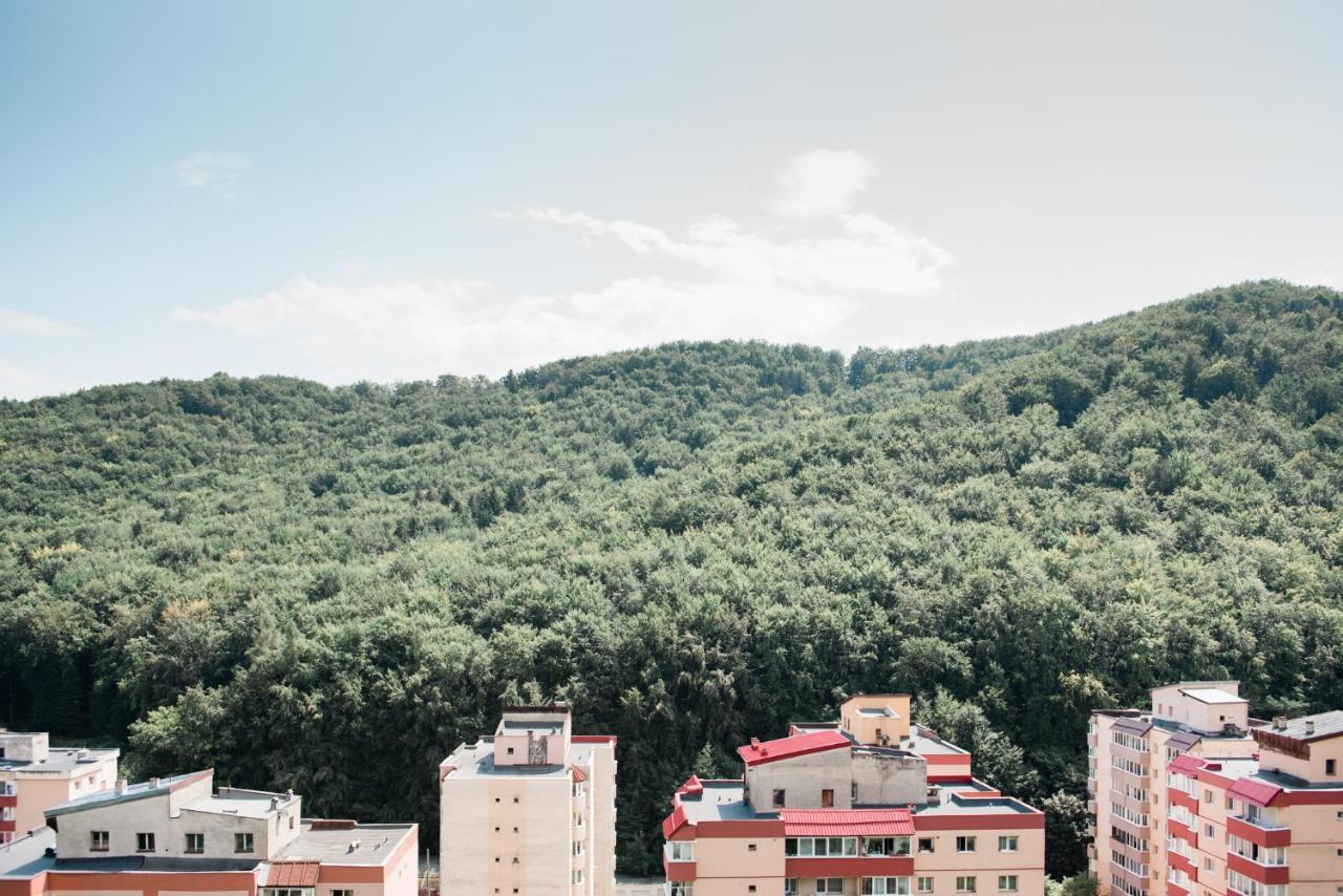 Nature Escape Apartment 브라쇼브 외부 사진
